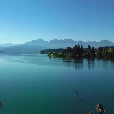 Seidelbast Апартаменты *